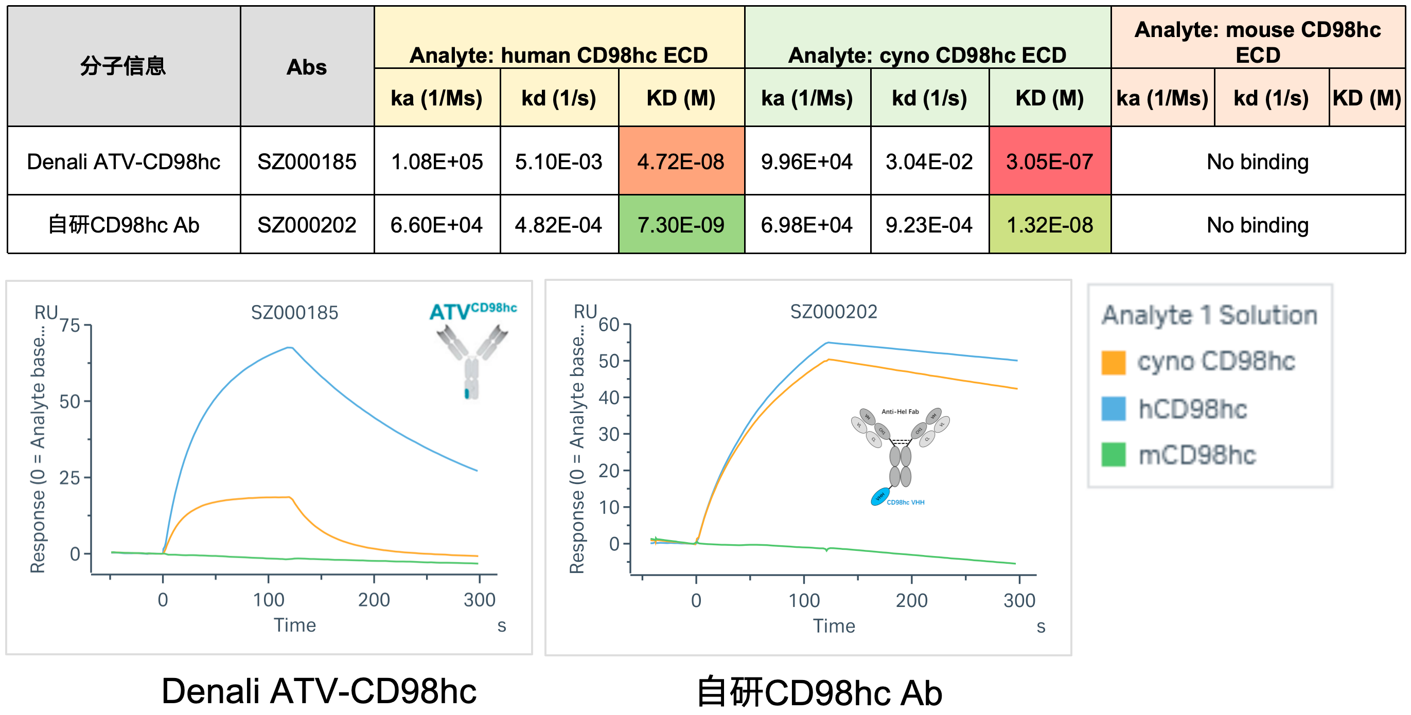 cd98hc-cross-species.png