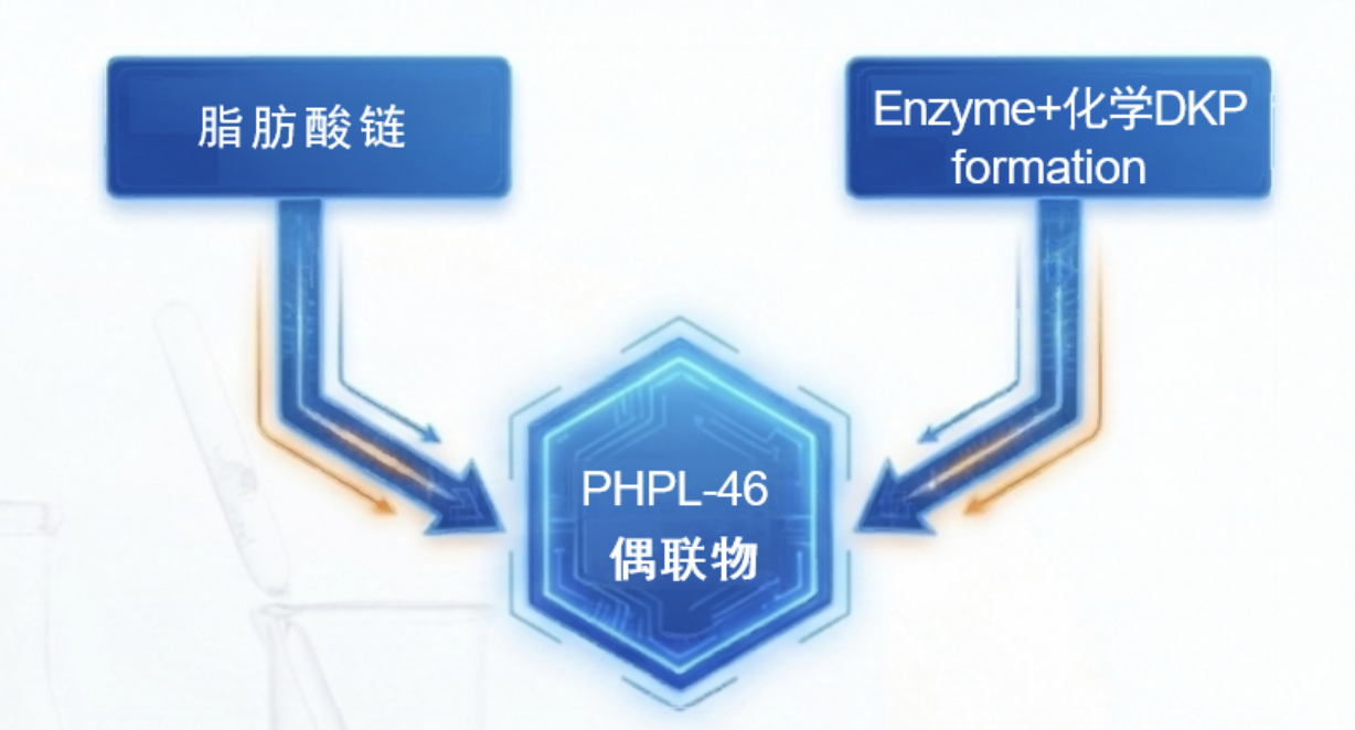 WX20260524-110420@2x.png