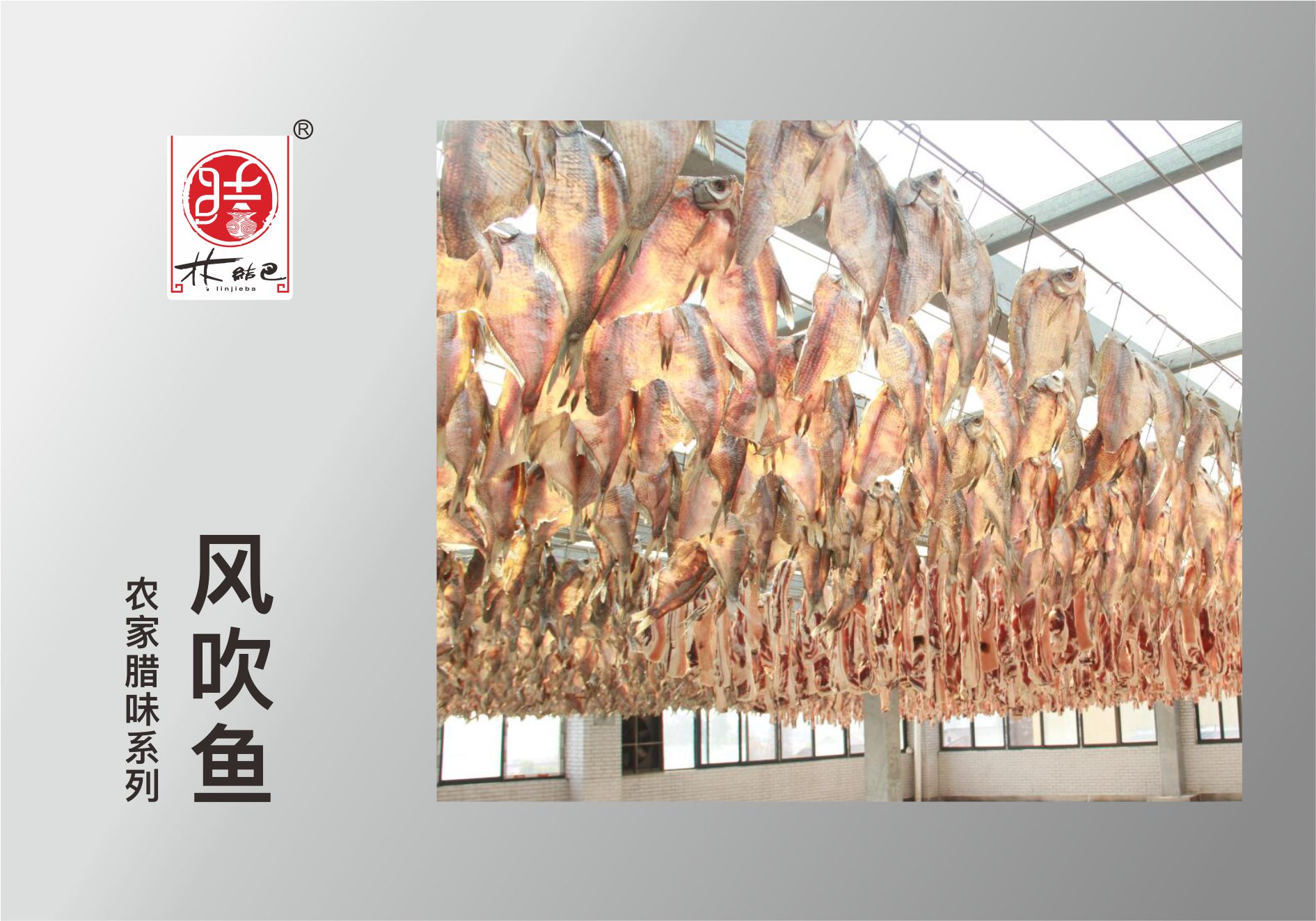 风吹鱼.jpg